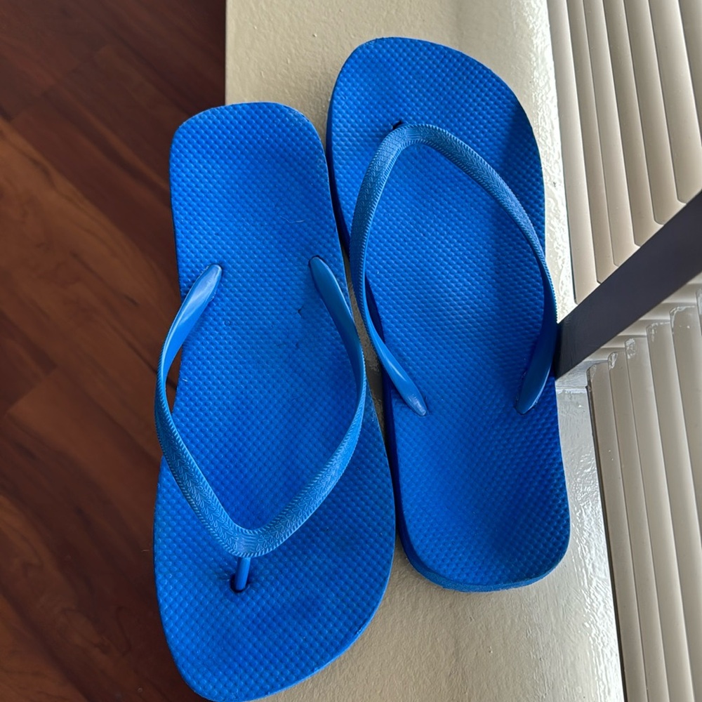 Flip Flops (blue) | Size: 9/10